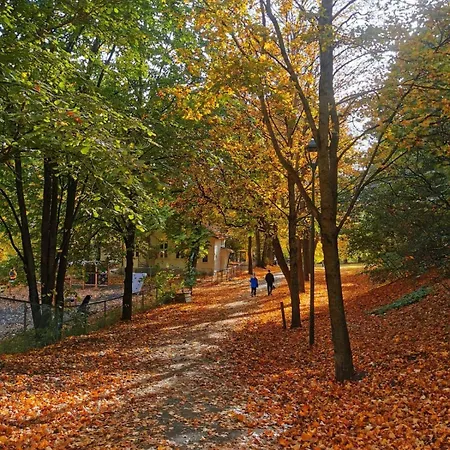 The Wooden House, Spacious, Garden, New And Modern Apartamento