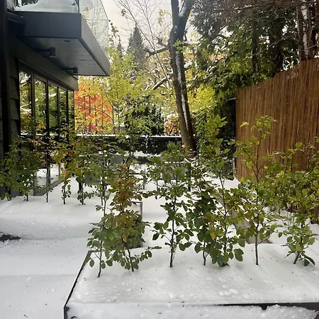 The Wooden House, Spacious, Garden, New And Modern