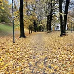 The Wooden House, Spacious, Garden, New And Modern * 오슬로