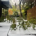 The Wooden House, Spacious, Garden, New And Modern