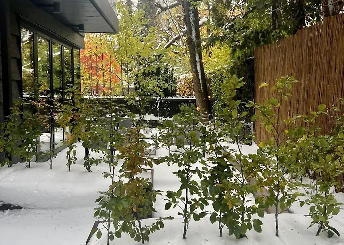 The Wooden House, Spacious, Garden, New And Modern